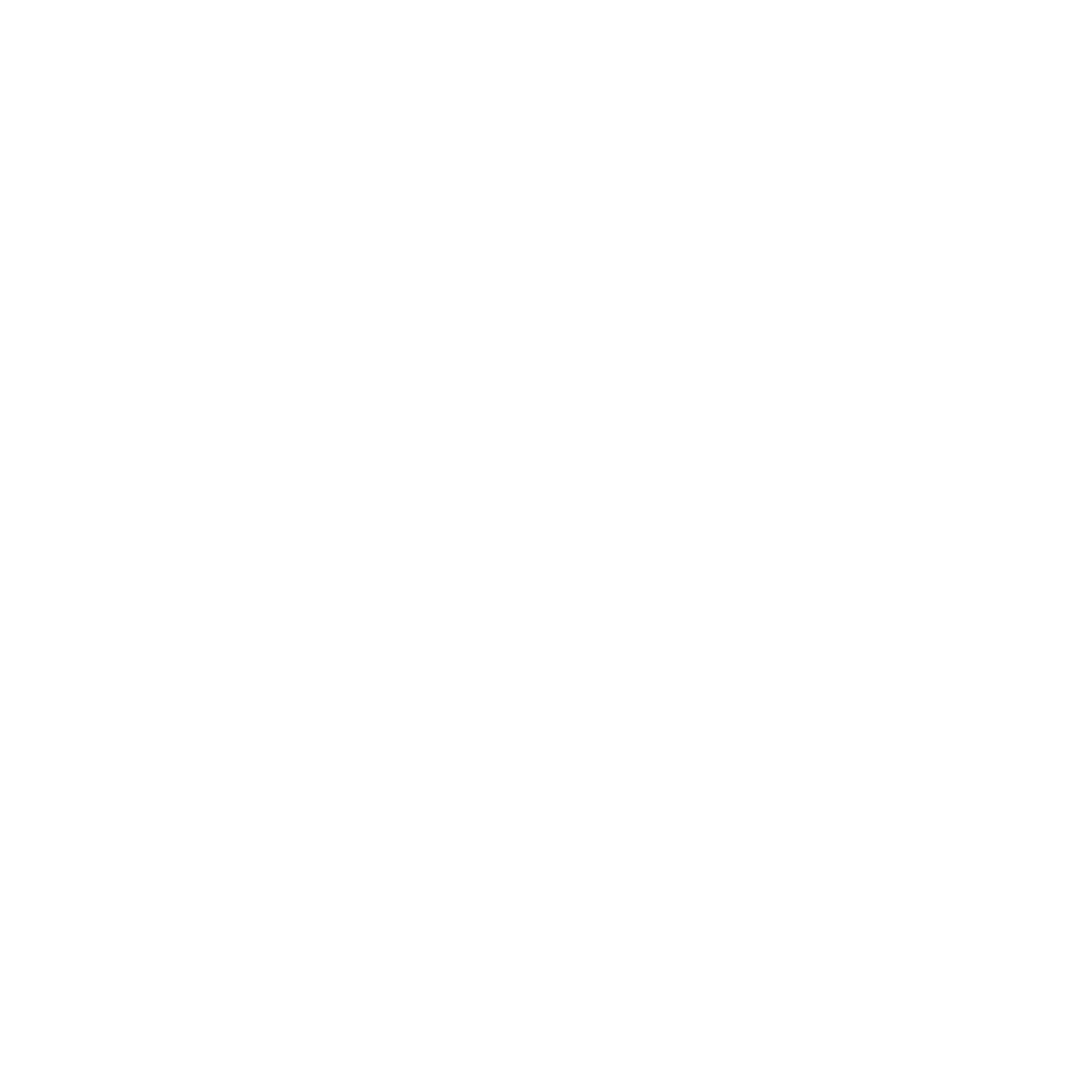 Logo SAV